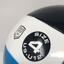 Load image into Gallery viewer, 3V3 Official Training Ball