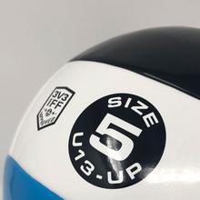 Load image into Gallery viewer, 3V3 Official Training Ball